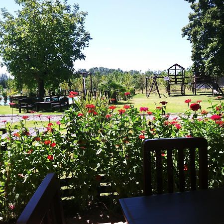 Finca Los Almendros Hotel Tunuyán Zewnętrze zdjęcie