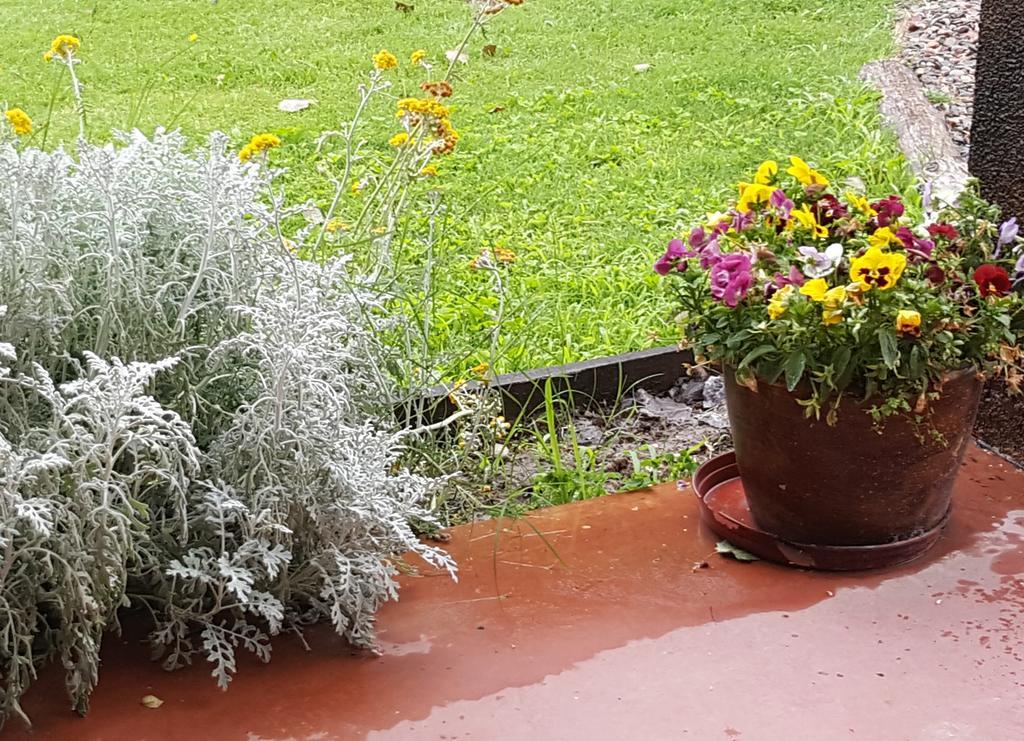 Finca Los Almendros Hotel Tunuyán Zewnętrze zdjęcie