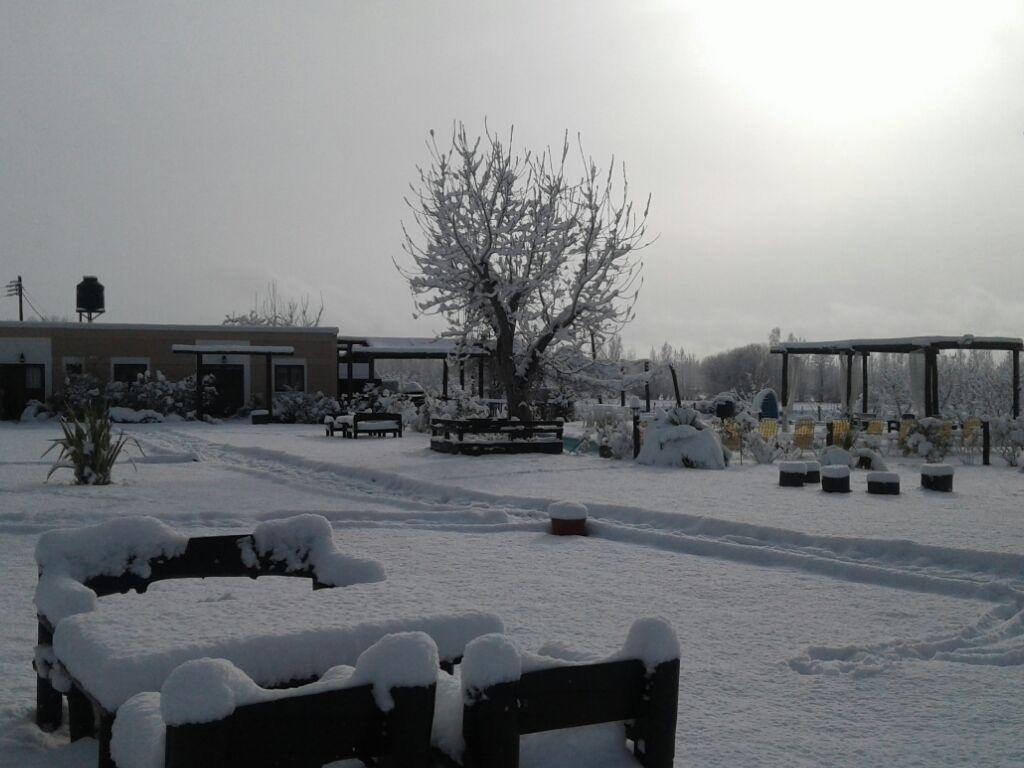 Finca Los Almendros Hotel Tunuyán Zewnętrze zdjęcie