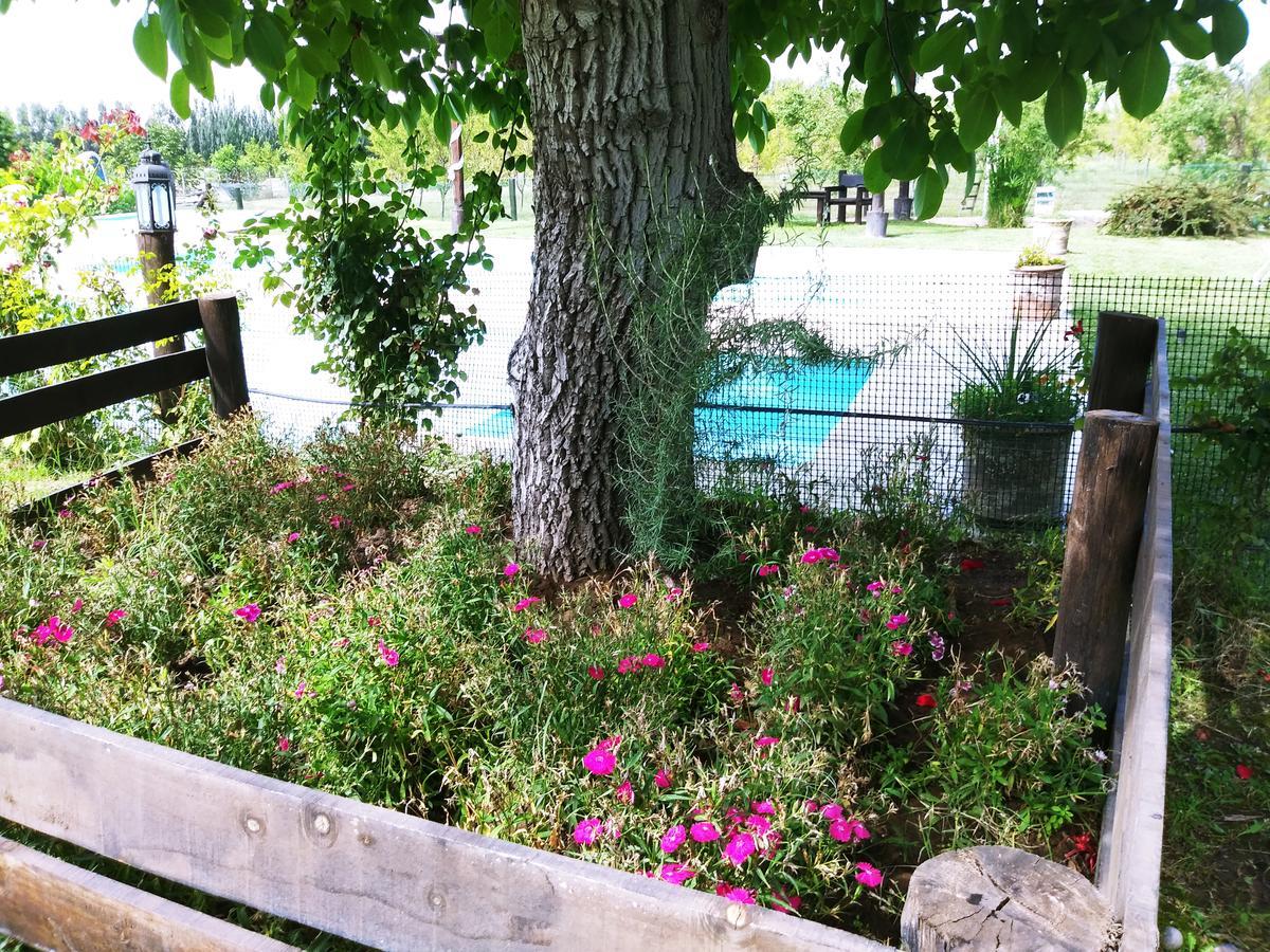 Finca Los Almendros Hotel Tunuyán Zewnętrze zdjęcie