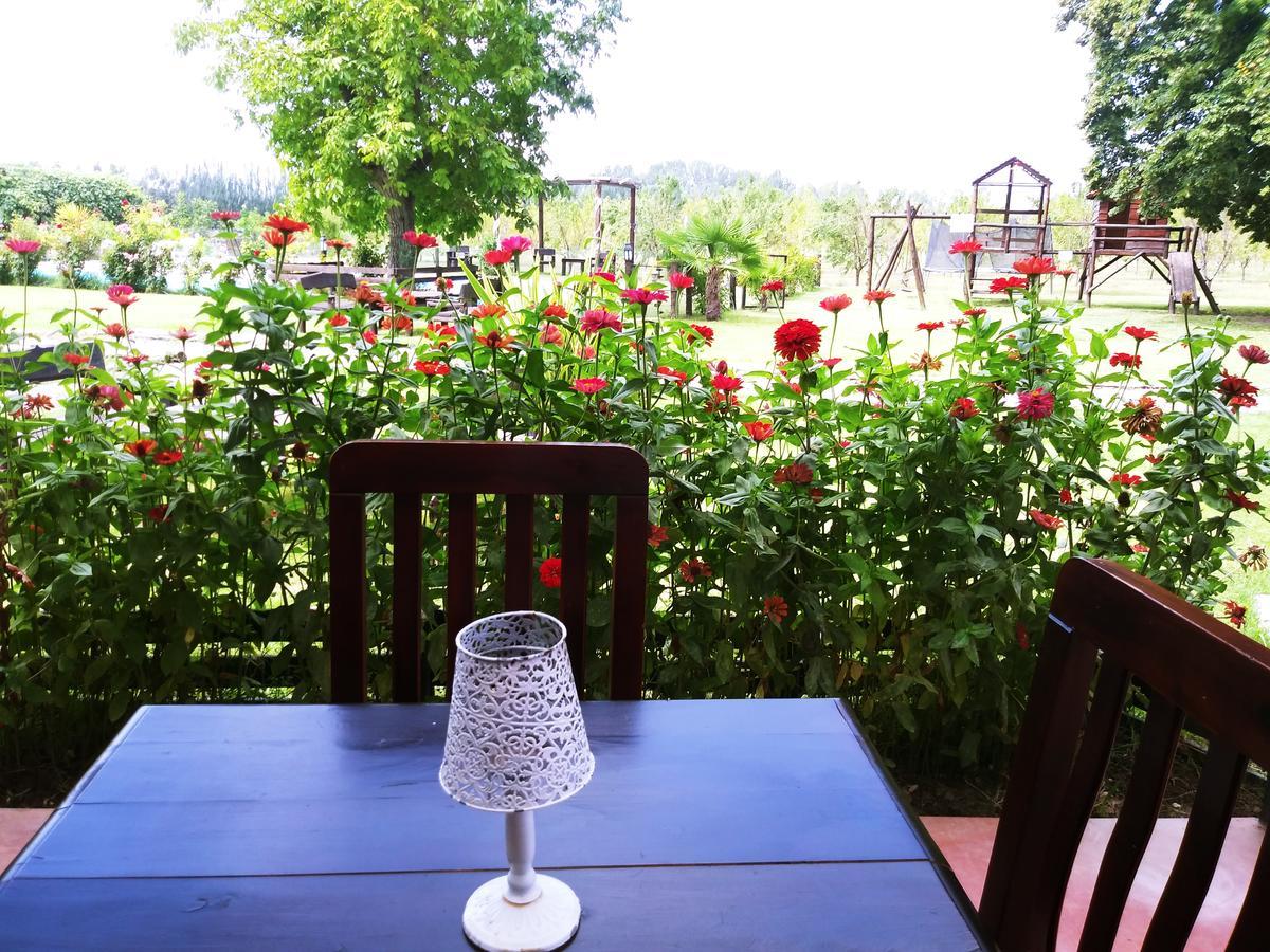 Finca Los Almendros Hotel Tunuyán Zewnętrze zdjęcie