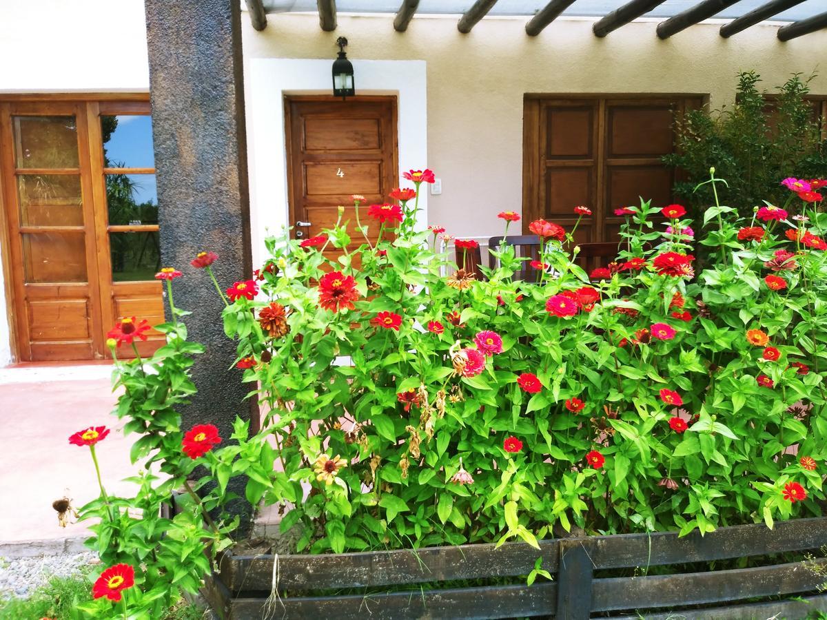 Finca Los Almendros Hotel Tunuyán Zewnętrze zdjęcie