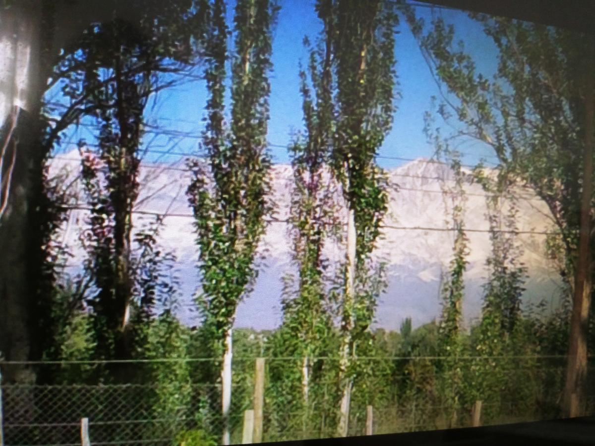 Finca Los Almendros Hotel Tunuyán Zewnętrze zdjęcie